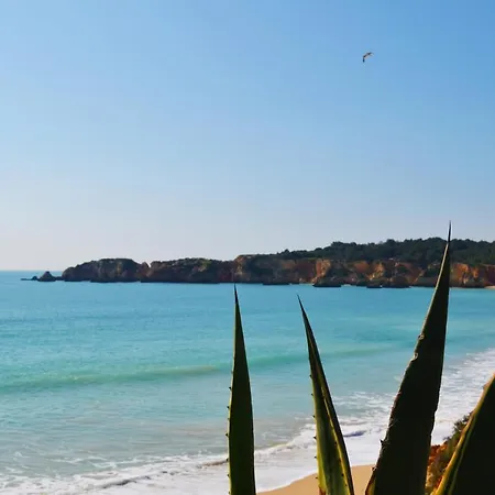 Vivenda Vau Вілла Портіман